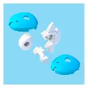 HT-HO-Mola-2.webp