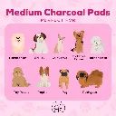 Pupaholic-CharcoalPads-Medium-2.webp