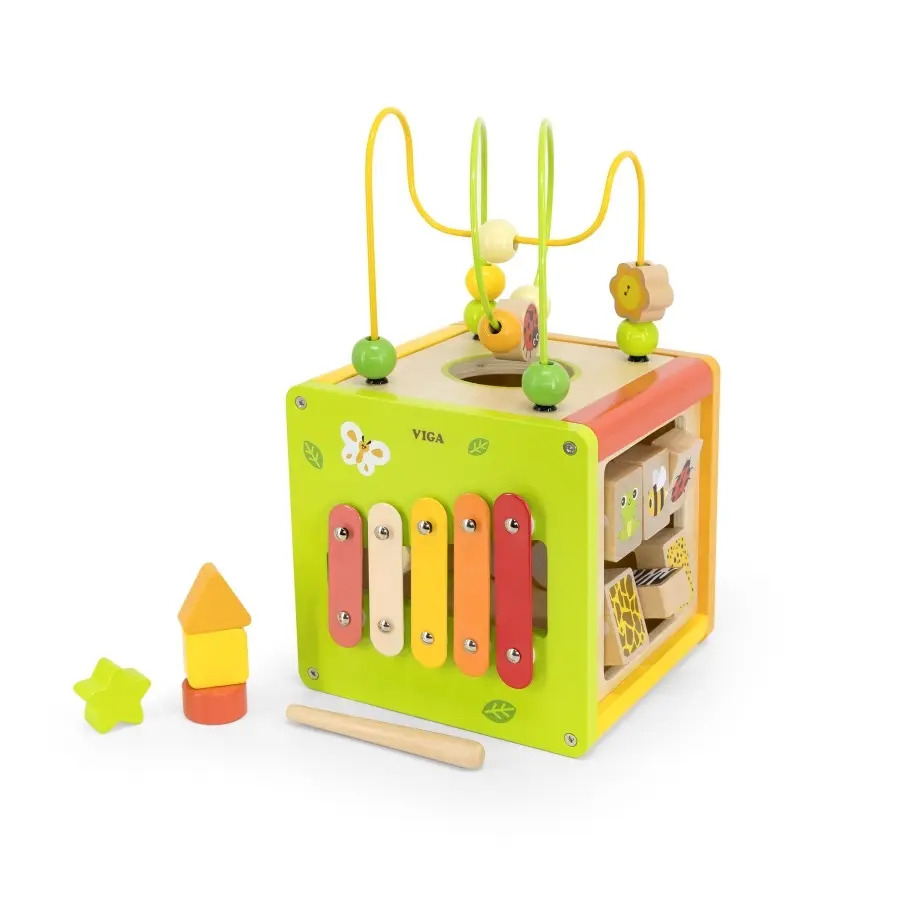 Viga 5-in-1 Activity Cube