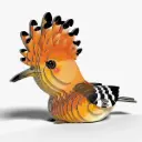 Eugy 3D Cardboard Model Kit - Hoopoe