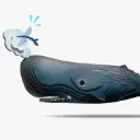 Eugy 3D Cardboard Model Kit - Sperm Whale