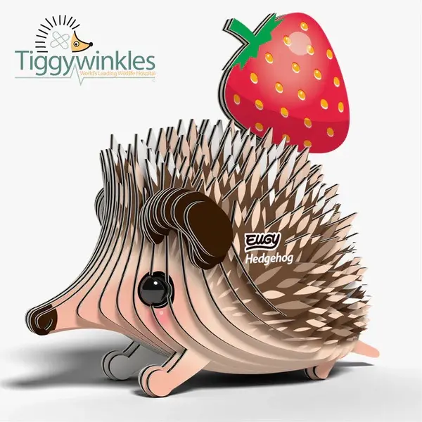 Eugy 3D Cardboard Model Kit - Hedgehog