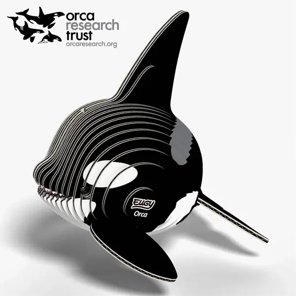 Eugy 3D Cardboard Model Kit - Orca