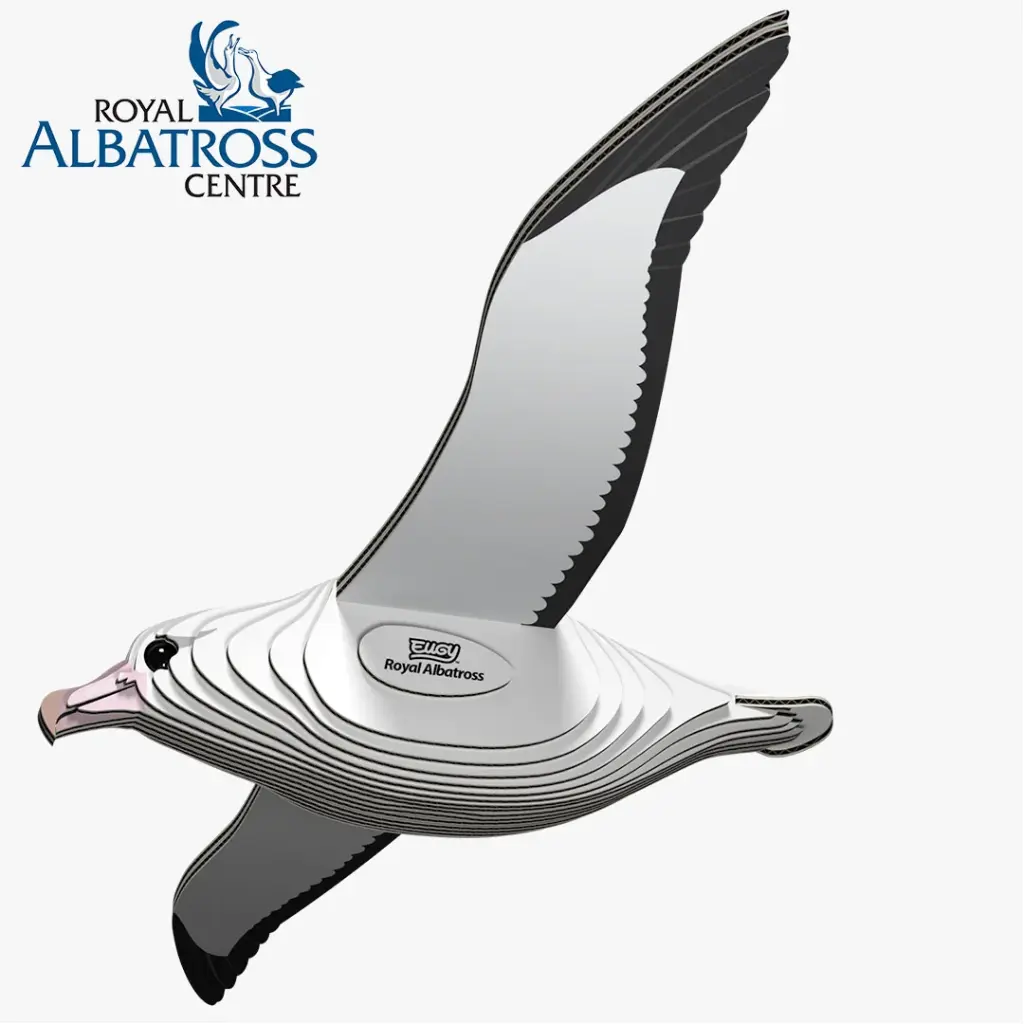 Eugy 3D Cardboard Model Kit - Royal Albatross