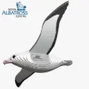 Eugy 3D Cardboard Model Kit - Royal Albatross