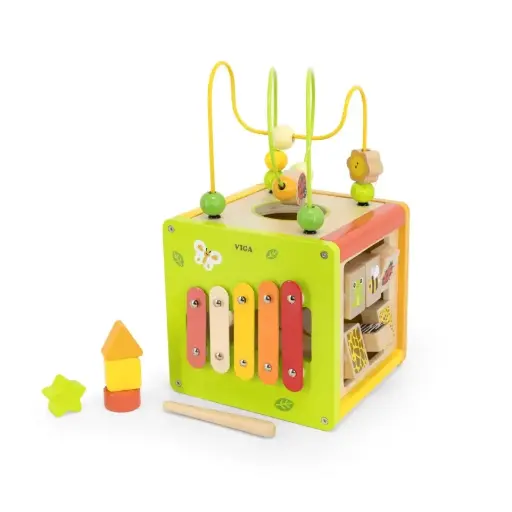 Viga 5-in-1 Activity Cube