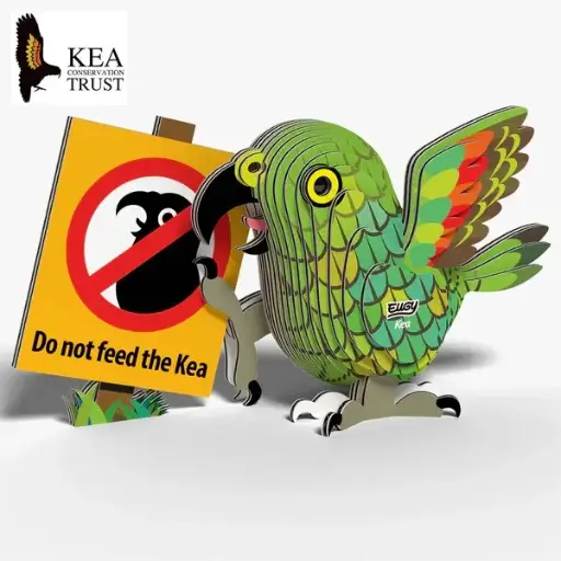 Eugy 3D Cardboard Model Kit - Kea