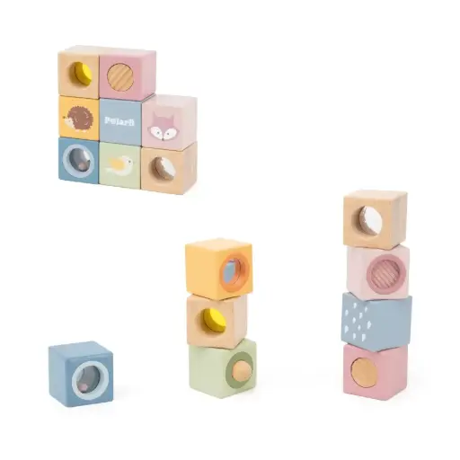 PolarB Sensory Blocks