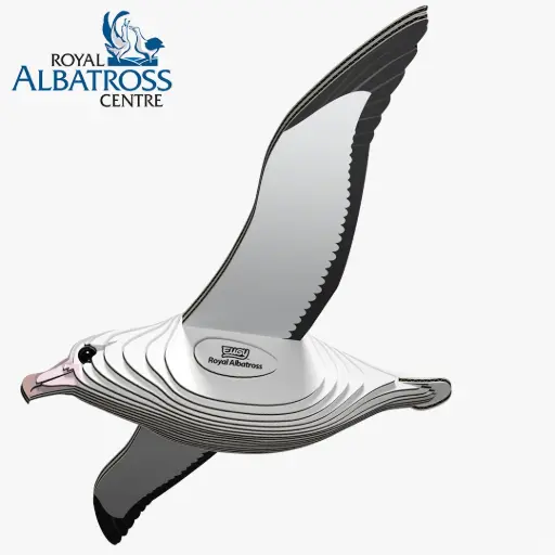 Eugy 3D Cardboard Model Kit - Royal Albatross